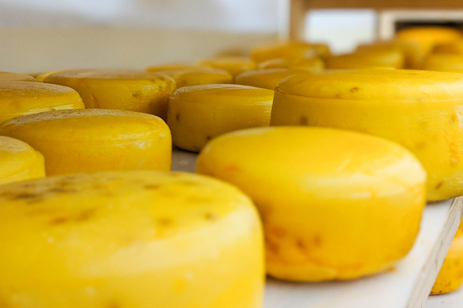 Sýrárna Tonka, sýr Gouda, Bio kvalita, ekologické zemědělství
